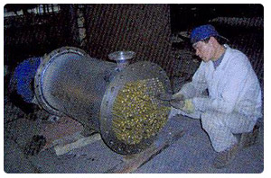 Edible Oil Refinery Vacuum System